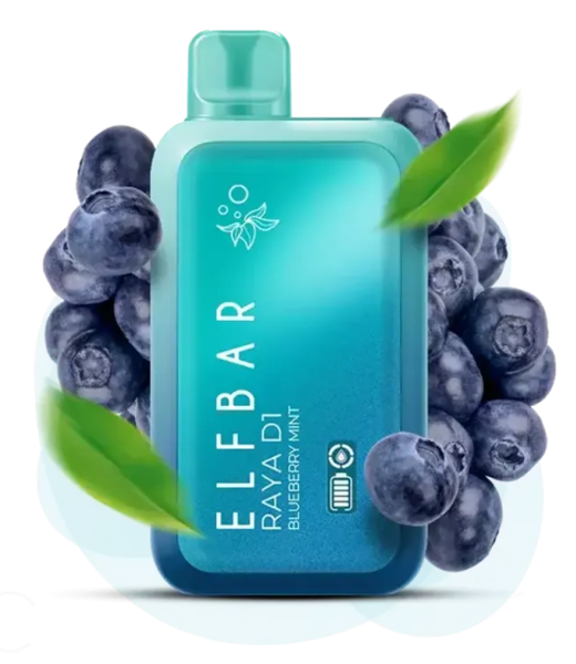 ELF BAR RAYA D1 Blueberry Mint (Черника Мята)