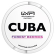 Cuba white forest berries 16 mg (Лесные ягоды)