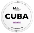 Cuba white grape 16 mg (Виноград)