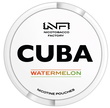 Cuba white watermelon 16 mg (Кавун)