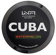 Cuba white watermelon 43 mg (Кавун)