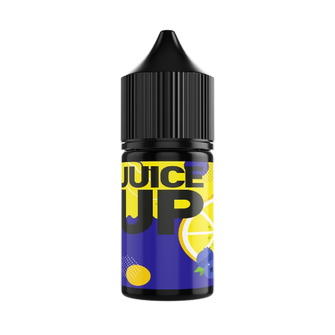 Ароматизатор Juice Up 12мл Blueberry Lemon (Лохина Лимон)