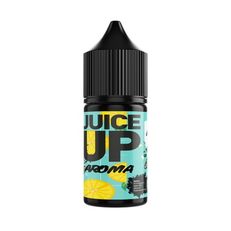 Ароматизатор Juice Up 12мл Mojito (Мохито)